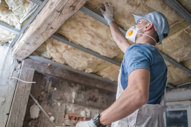 Best Professional Insulation Contractor  in Calverton, NY