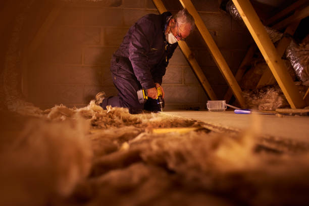 Best Cellulose Insulation  in Calverton, NY
